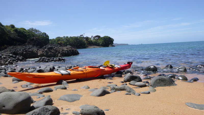 Come and explore the crystal clear waters of the magnificent Bay Of Islands by kayaking your way through estuaries, mangroves, bays, lagoons and waterfalls in a freedom kayak rental.