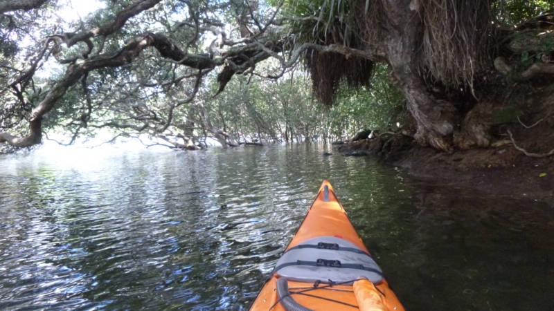 Come and explore the crystal clear waters of the magnificent Bay Of Islands by kayaking your way through estuaries, mangroves, bays, lagoons and waterfalls in a freedom kayak rental.