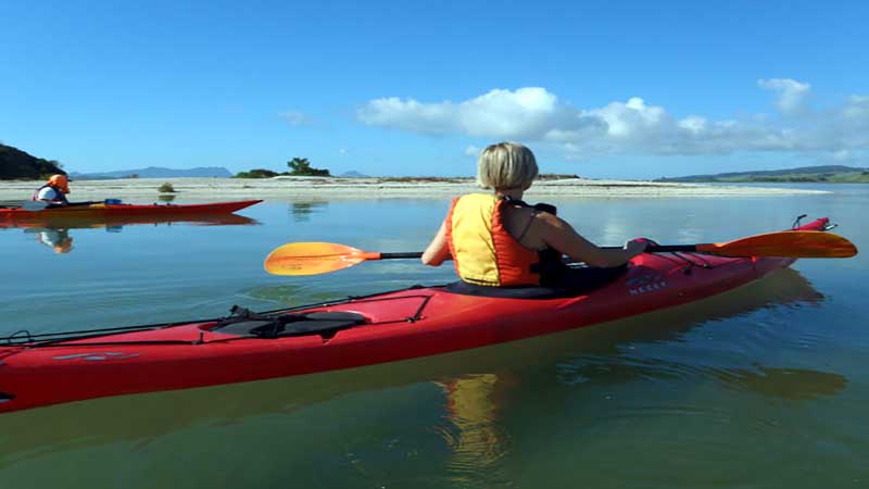 Experience a half day sea kayaking expedition visiting the Limestone Island reserve on this historical eco-tour. Glide across Northlands pristine harbour and enjoy the areas wildlife, shipwrecks and the islands archaeological site.