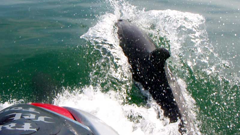 Great snorkelling 