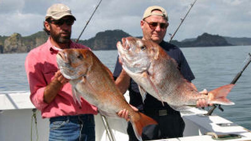 Join Spot X for a memorable snapper and reef fishing trip, with all bait and gear provided, in the stunning Bay of Islands.