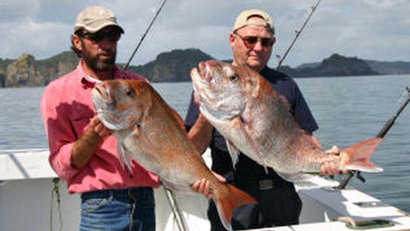 https://www.bookmestatic.net.nz/images/activities/1274_image1_Big-Snapper-2.jpg