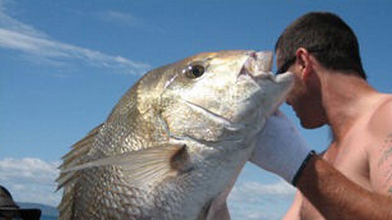 Great snorkelling 