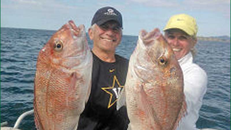 Join Spot X for a memorable snapper and reef fishing trip, with all bait and gear provided, in the stunning Bay of Islands.