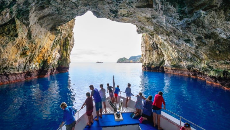 Great snorkelling 