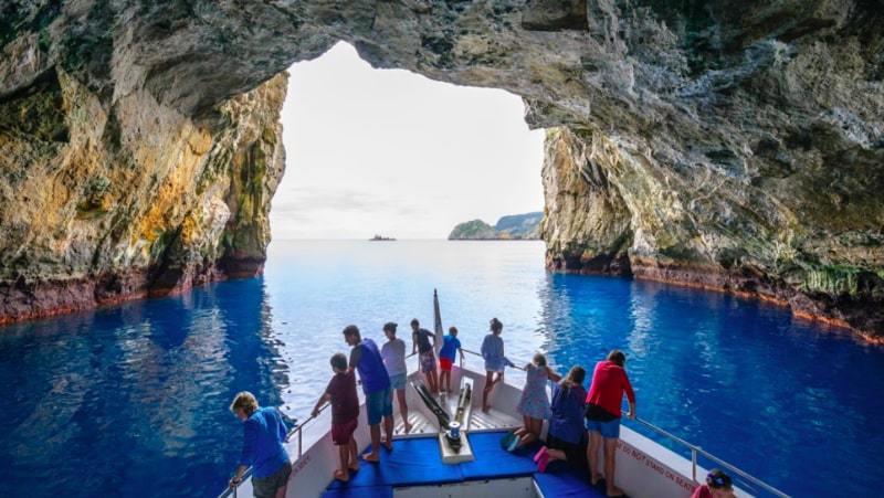 Experience a one in a lifetime world class diving adventure, suitable for all levels of ability at the world renowned Poor Knights Islands - A sacred ecological treasure trove abundant with marine and wildlife and one of the world's top 10 dive spots.