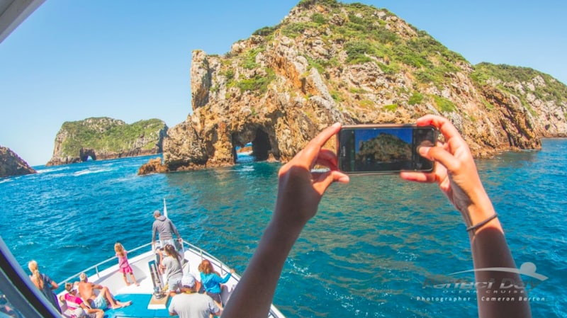 Experience a one in a lifetime world class diving adventure, suitable for all levels of ability at the world renowned Poor Knights Islands - A sacred ecological treasure trove abundant with marine and wildlife and one of the world's top 10 dive spots.