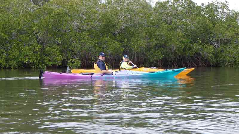 Explore the calm waterways of the Noosa River from a kayak