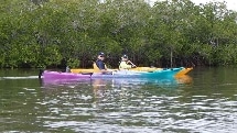 Double Kayak Hire - 2 day hire - Noosa