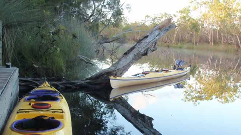 Experience the beauty of the Noosa Everglades on this full day self guided kayak tour