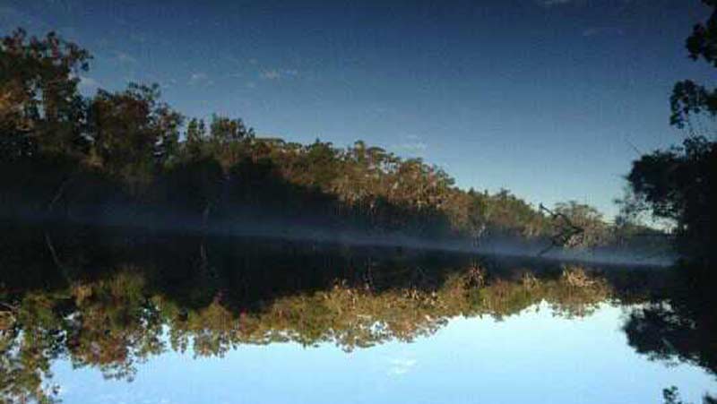 Experience the beauty of the Noosa Everglades on this full day self guided kayak tour