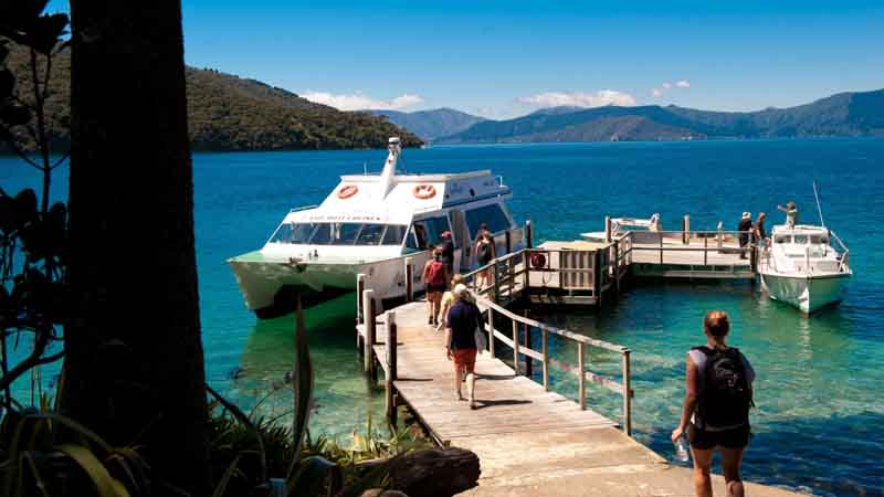 Experience the stunning Queen Charlotte Sounds aboard the Magic Mail Boat for an epic half day cruise!