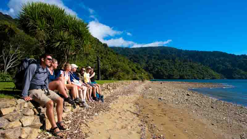 Experience the very best of what the stunning Queen Charlotte Sounds has to offer with this magical half day cruise exploring the historic Ship Cove.