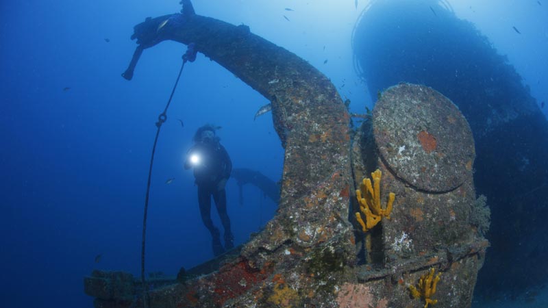 Experience the HMNZS Canterbury wreck and a reef dive in the subtropical paradise which is the Bay of Islands. The vast marine life and high visibility coupled with the wreck make this a world class diving experience.