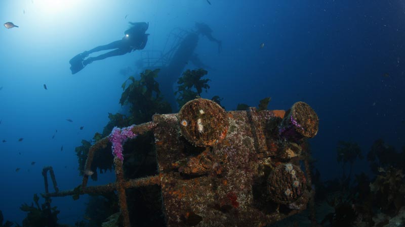 Experience the HMNZS Canterbury wreck and a reef dive in the subtropical paradise which is the Bay of Islands. The vast marine life and high visibility coupled with the wreck make this a world class diving experience.