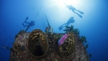 Canterbury Wreck & Reef Dive