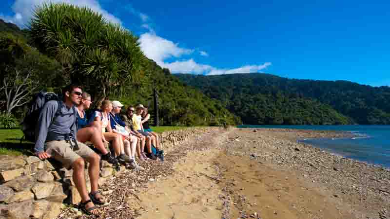 Embark on a magical adventure into the great outdoors with this scenic walk and cruise set in the beautiful Queen Charlotte Sounds.