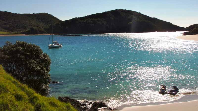 Great snorkelling 