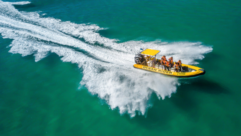 OceanRider’s Adventure Tour is an incredible journey of tight turns,  nature and wildlife! 