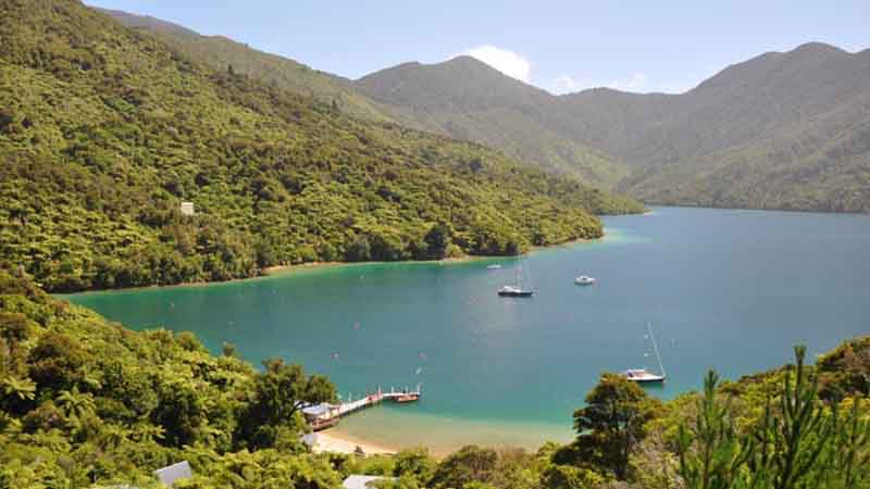 Experience an amazing scenic walk set deep within the stunning Queen Charlotte Sounds for an adventure that will literally leave you feeling on top of the world!