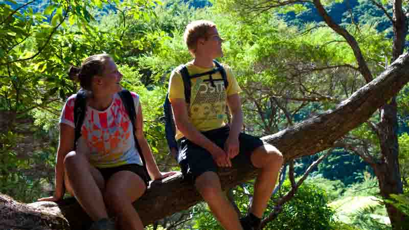 Experience an amazing scenic walk set deep within the stunning Queen Charlotte Sounds for an adventure that will literally leave you feeling on top of the world!