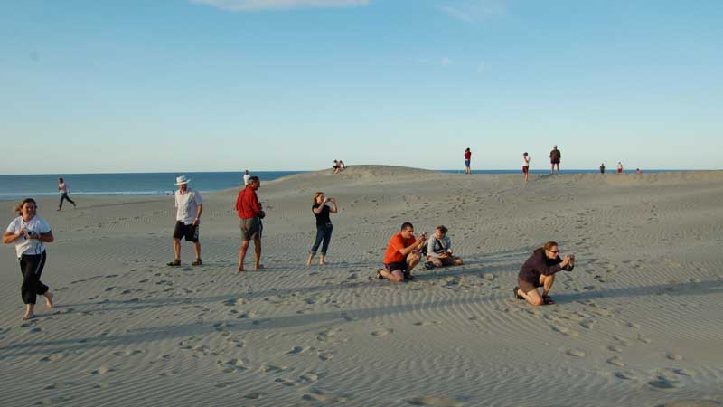 Come on an extra special eco journey to Farewell Spit a protected nature reserve and home to New Zealand's longest sand spit. 