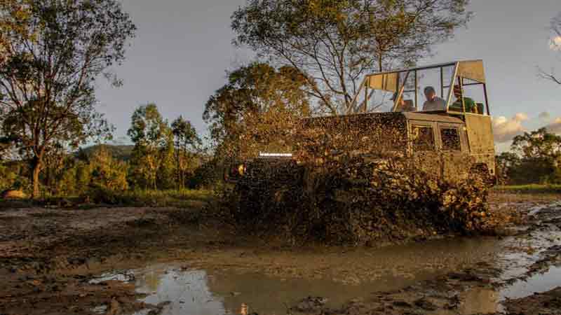 Get a guided off road experience like no other from a Military H1 Hummer! All while seeing a the wildlife of the Atherton Tablelands come alive in the evening