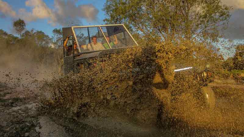 Get a guided off road experience like no other from a Military H1 Hummer! All while seeing a the wildlife of the Atherton Tablelands come alive in the evening