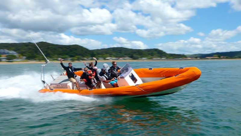 Come and discover the very best of what the stunning Bay of Islands has on offer and escape the crowds with this intimate and adventurous one hour boat tour.