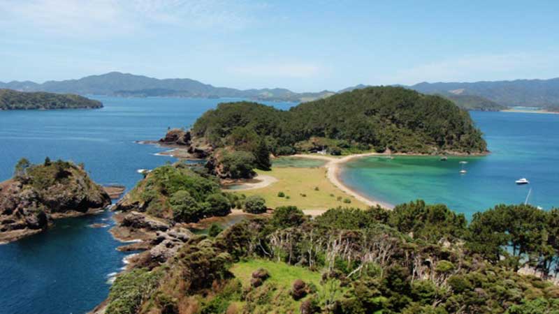 Come and discover the very best of what the stunning Bay of Islands has on offer and escape the crowds with this intimate and adventurous one hour boat tour.