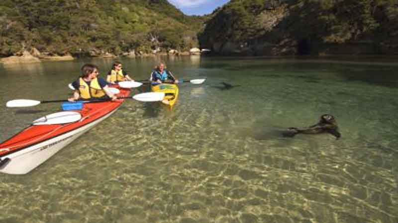 Come and explore the aquatic playground of the beautiful Abel Tasman National Park and observe the antics of the playful resident fur seals in their natural habitat.