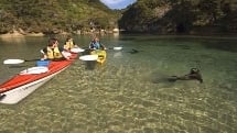 Abel Tasman: Seal Swim & Kayak Tour