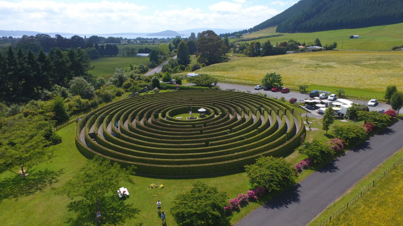 amazeme rotorua maze challenge animal petting aviary playground butterfly house