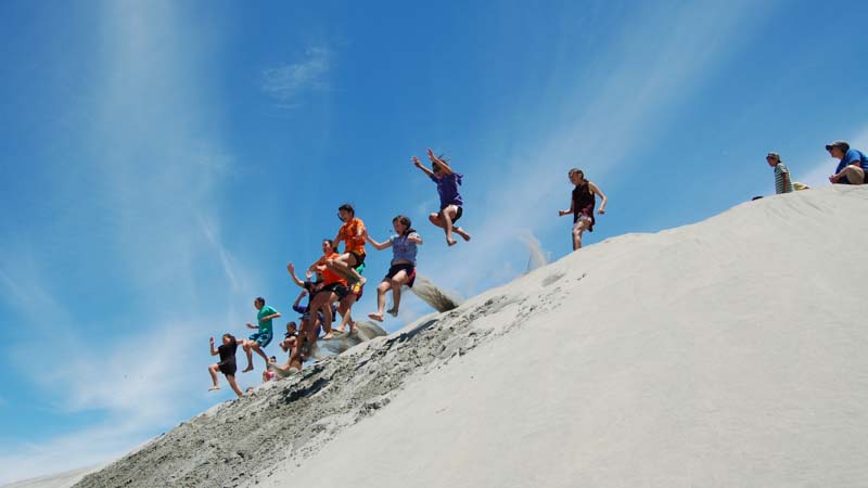 Come and explore New Zealand's iconic and historic lighthouse set upon the countries longest sand spit in an incredible half day tour.