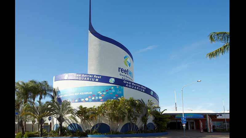 Get up close to the wonders of the Great Barrier Reef without getting wet at Reef HQ Aquarium