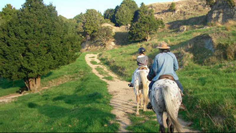 Come and experience a magical horse trek through Northland's scenic countryside and enjoy the local wildlife, lush native bush and outstanding coastal views on horseback.
