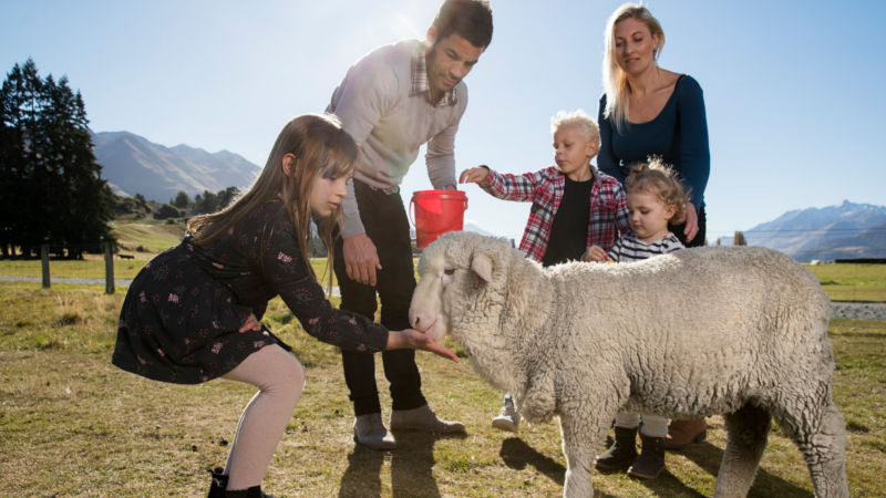 Discover a genuine, high country Merino woolshed and soak up some of the best scenery in New Zealand at this once in a lifetime destination.