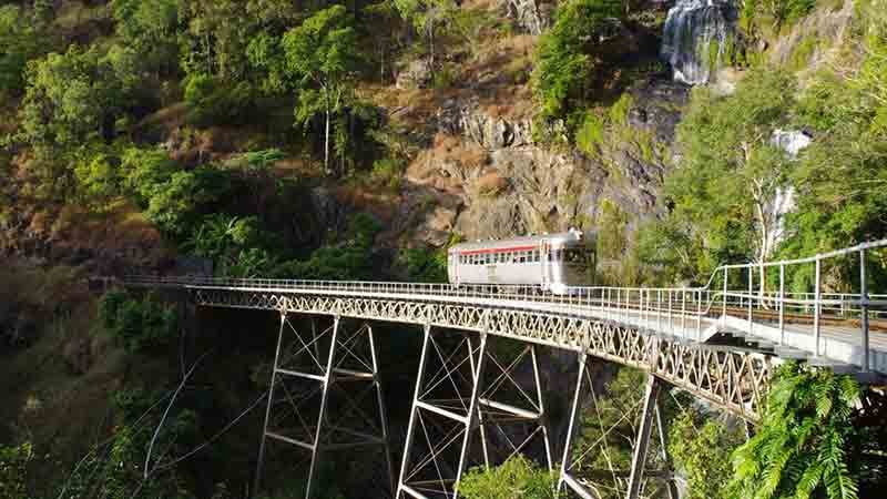 Get on the weekly early Kuranda train and beat the crowd! This small, intimate train allows great interaction with the driver and passengers, and spectacular scenery all the way to Kuranda
