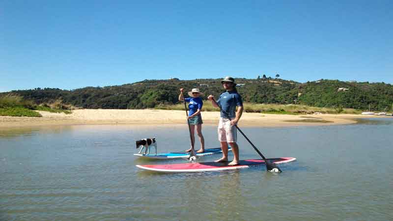 Early in the morning the water is often mill pond calm, it is a quiet time to enjoy the vistas and some exercise provided by SUP boarding..