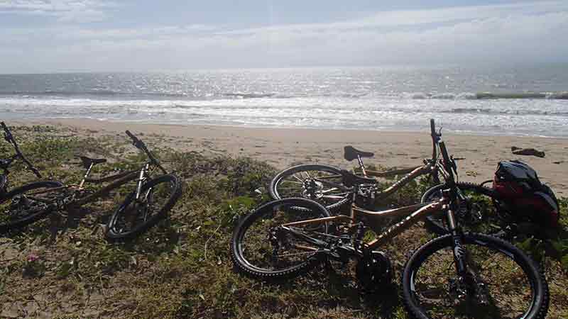 Half day mountain bike tour through the forestry trails near Port Douglas