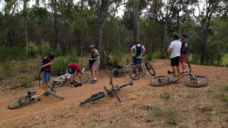 Half day mountain bike tour through the forestry trails near Port Douglas