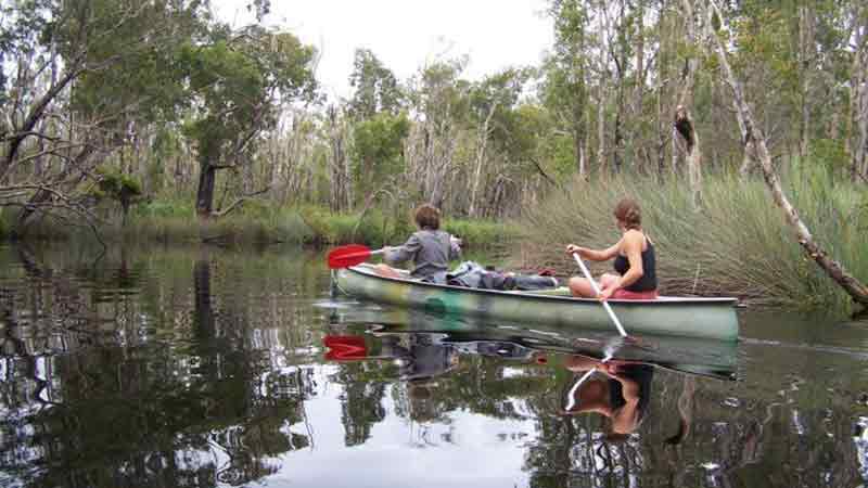 The Noosa Everglades system, rich with flora and fauna, has remained relatively untouched for centuries. The magnificent, sheltered, water ways allow for spectacular scenery and accessibility by kayak and canoe