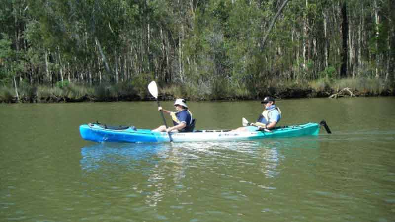 The Noosa Everglades system, rich with flora and fauna, has remained relatively untouched for centuries. The magnificent, sheltered, water ways allow for spectacular scenery and accessibility by kayak and canoe