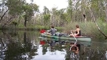 Noosa Everglades Full Day Self Guided Tour - Canoe or Kayak