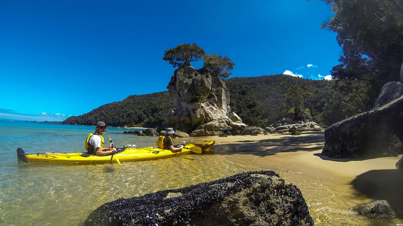 Come and join us for a spectacular full day kayak and walk which will showcase 12 of the Abel Tasman National Parks stunning beaches, scenic lookout's and native birds and fur seals.