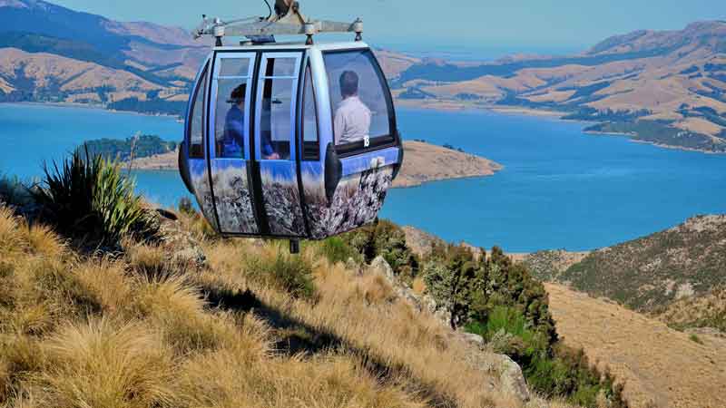 Christchurch's Grand Tour - "The Best of the Best Christchurch Attractions!"