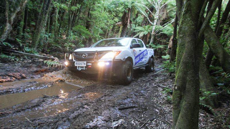 Join Pure Dirt Tours for an incredible City Sights Bush Safari in an awesome custom built 4x4 truck! Our powerful truck will take you to the highest lookout point on Mt Ngongotaha and through our lush native rain forest trails providing an exhilarating 4 wheel driving experience.