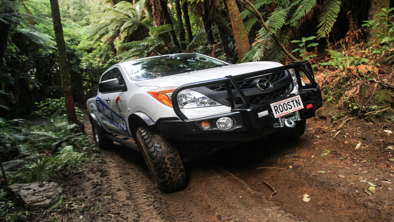 Join Pure Dirt Tours for an incredible City Sights Bush Safari in an awesome custom built 4x4 truck! Our powerful truck will take you to the highest lookout point on Mt Ngongotaha and through our lush native rain forest trails providing an exhilarating 4 wheel driving experience.