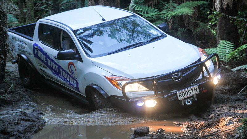 Join Pure Dirt Tours for an incredible City Sights Bush Safari in an awesome custom built 4x4 truck! Our powerful truck will take you to the highest lookout point on Mt Ngongotaha and through our lush native rain forest trails providing an exhilarating 4 wheel driving experience.