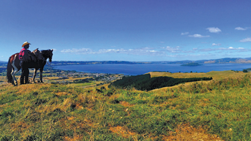 Join us for an enchanting horse trek up Mount Ngongotaha on the western shores of Lake Rotorua and experience New Zealand’s spectacular terrain.